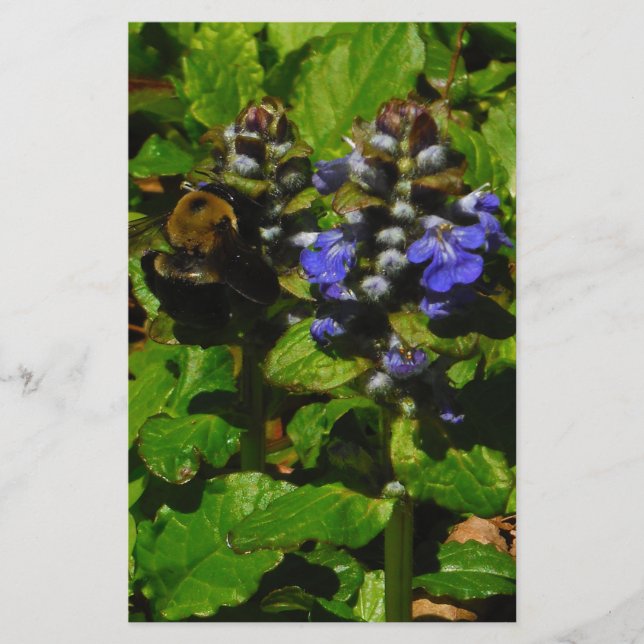 Purple Bee Balm and Bumble Bee Stationery (Front)