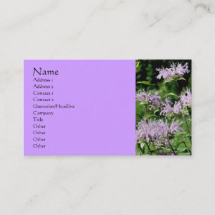 Purple Bee Balm Flower Photography Business Card
