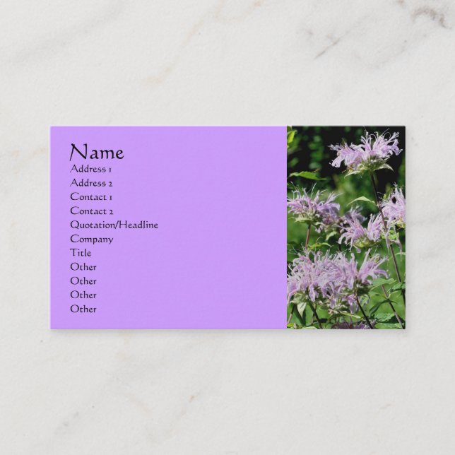 Purple Bee Balm Flower Photography Business Card (Front)