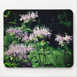 Purple Bee Balm Flowers Mouse Mat