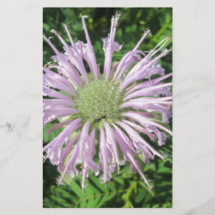 Purple Bee Palm Stationery