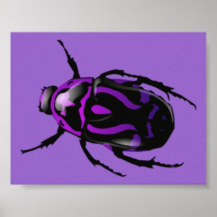 Purple Beetle Poster