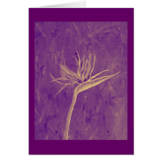 Purple Bird of Paradise