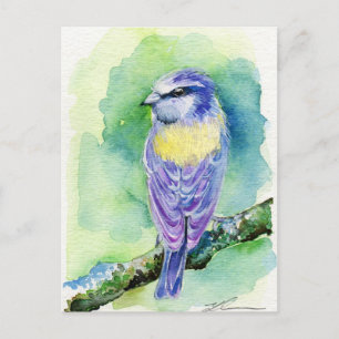 Purple Bird Postcard