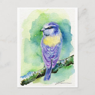 Purple Bird Postcard
