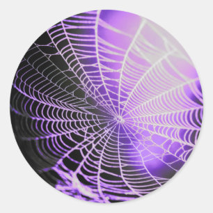 Purple Black Creepy Spooky Spider Web Classic Round Sticker