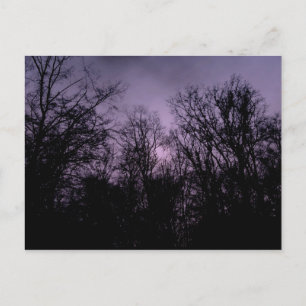 Purple black forest postcard
