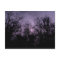 Purple black forest