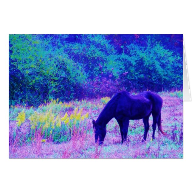 Purple Black Horse in Rainbow field (Front Horizontal)
