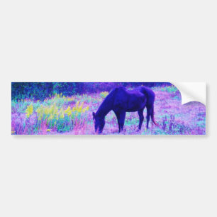 Purple Black Horse in Rainbow field Bumper Sticker