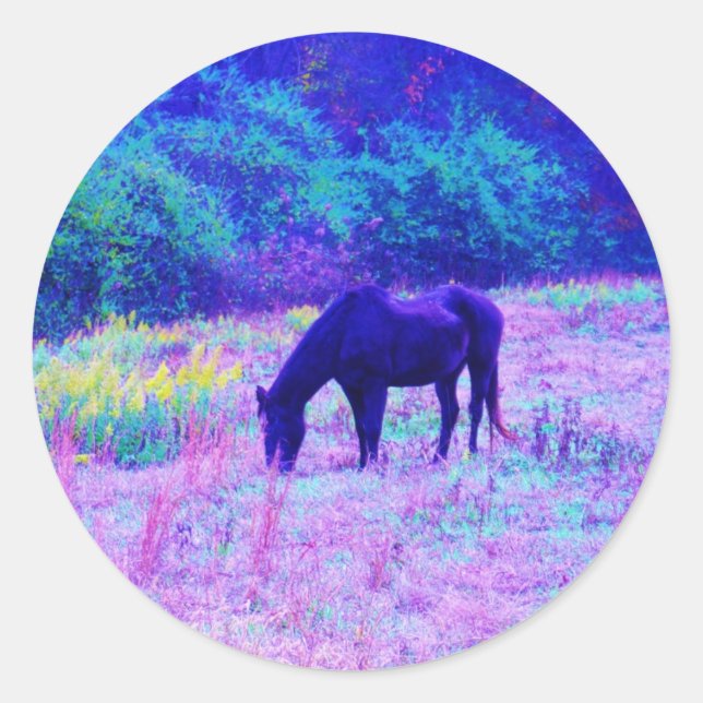 Purple Black Horse in Rainbow field Classic Round Sticker (Front)