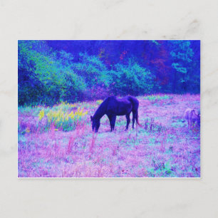 Purple Black Horse in Rainbow field Postcard