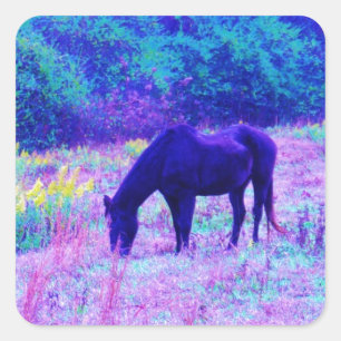 Purple Black Horse in Rainbow field Square Sticker
