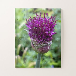 Purple Bloom of Memory | Allium Flower Botanical  Jigsaw Puzzle