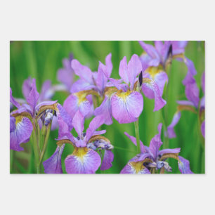 Purple Blooming Iris Flowers Wrapping Paper Sheet