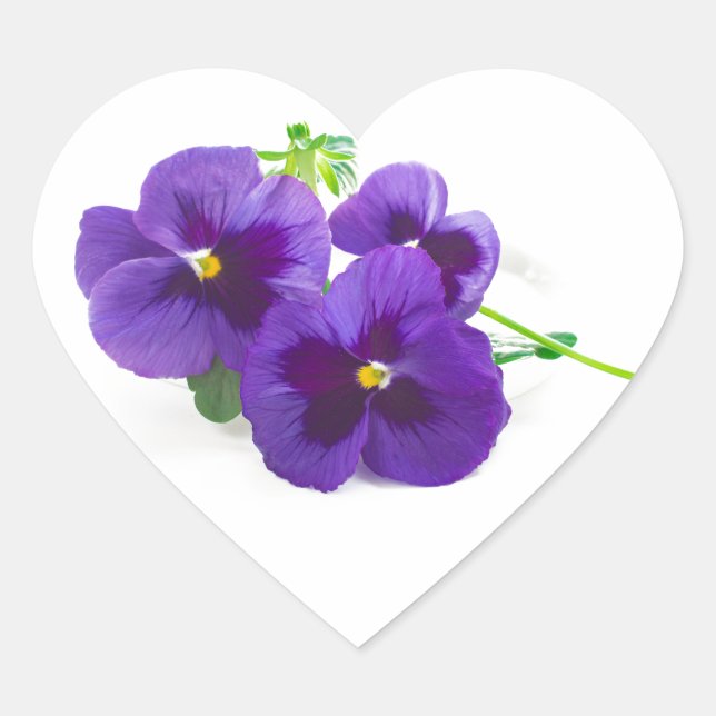 purple | blue | anniversary | flower | Pansy | cut Heart Sticker (Front)