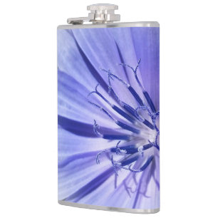 purple blue chicory hip flask