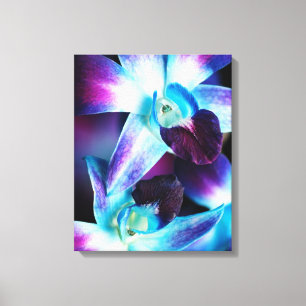Purple & Blue Dendrobium Orchid Customised Orchids Canvas Print