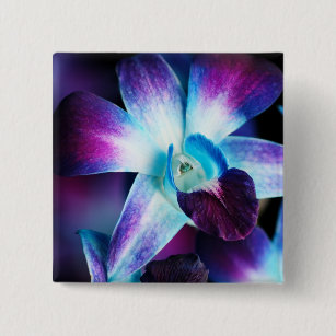 Blue And Purple Orchid Accessories Zazzle Co Uk