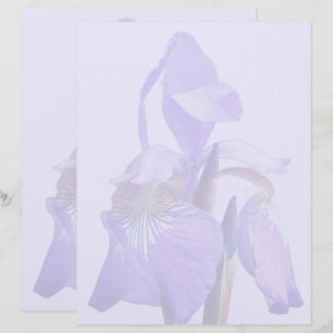 Purple Blue Flag Iris Flower Custom Letterhead