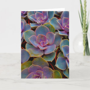 Purple Blue Green Succulent Cactus Plant Card