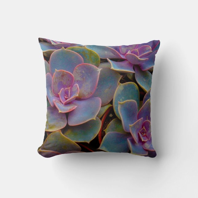 Purple Blue Green Succulent Cactus Plant Cushion (Front)