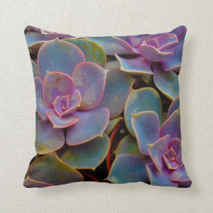 Purple Blue Green Succulent Cactus Plant Cushion