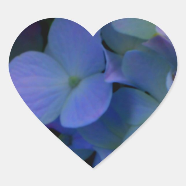 Purple blue hydrangeas flower floral heart sticker (Front)