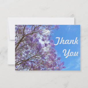 Purple blue Jacaranda tree Thank You Card