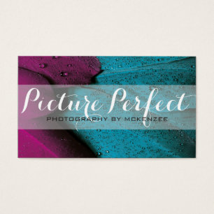 Purple Blue Photographer Photography Card