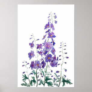 purple blue pink delphinium watercolor poster
