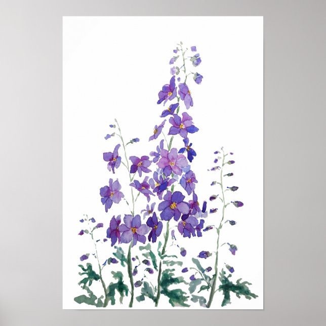 purple blue pink delphinium watercolor  poster (Front)