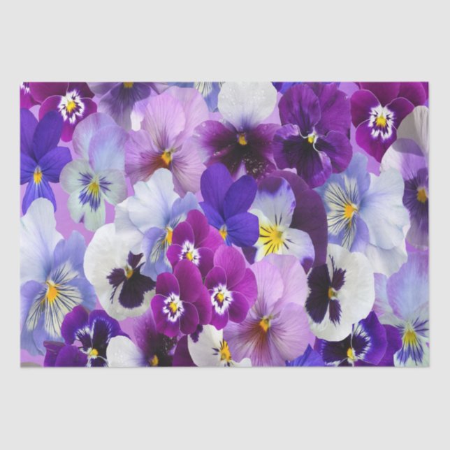 Purple Blue White Pansy Floral Flower Brirthday  Tissue Paper (Front)