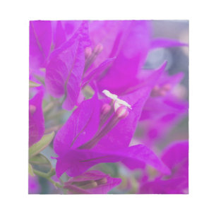 Purple Bougainvillea Notepad