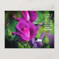 Purple Budding Rose Motivational Quote Postcard