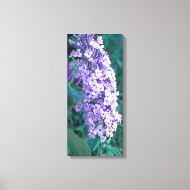 Purple Butterfly Bush Wrapped Canvas (Front)