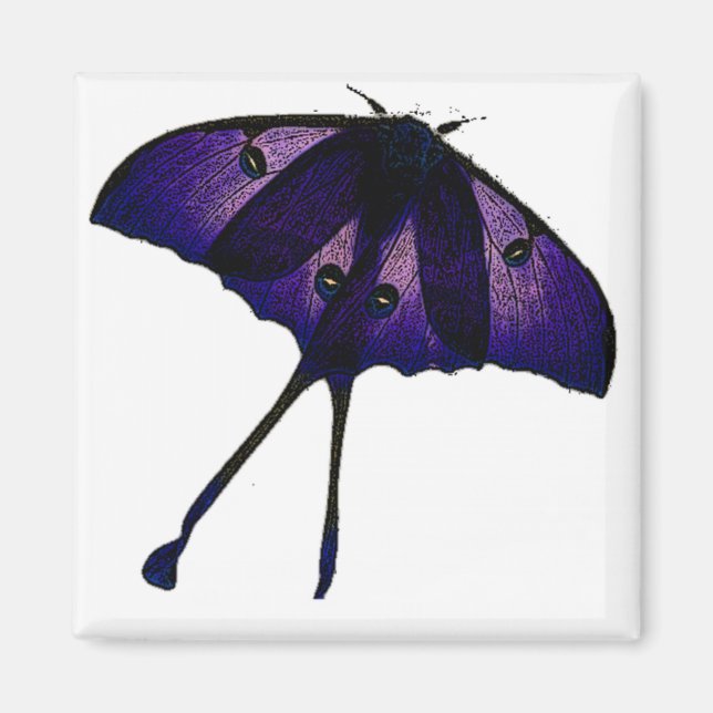 Purple Butterfly in Spring Garden Nature Photo Magnet (Front)