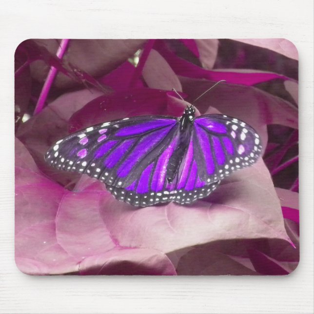 Purple Butterfly Mouse Mat (Front)