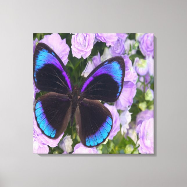 Purple Butterfly  Premium Wrapped Canvas (Front)