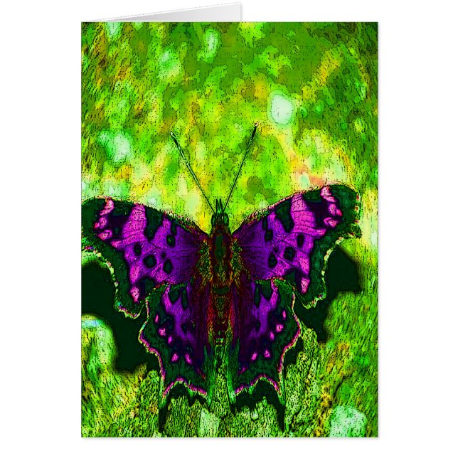 Purple butterfly with green background (Front)
