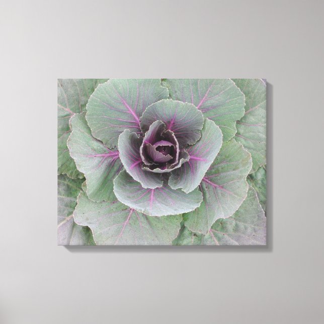 Purple Cabbage Wrapped Canvas (Front)