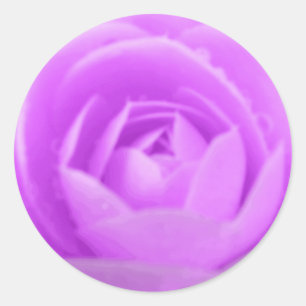 Purple Camellia Sticker
