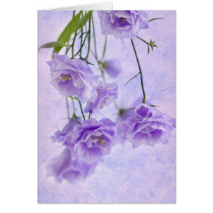 Purple Campanella Flowers Macro Card
