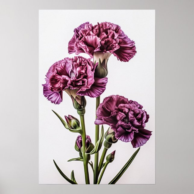 Purple Carnations Flower Art Print Poster (Front)