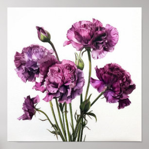 Purple Carnations Flower Art Print Poster