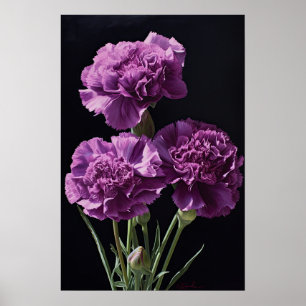 Purple Carnations Flower Art Print Poster