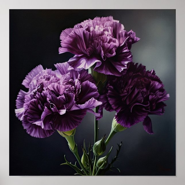 Purple Carnations Flower Art Print Poster (Front)