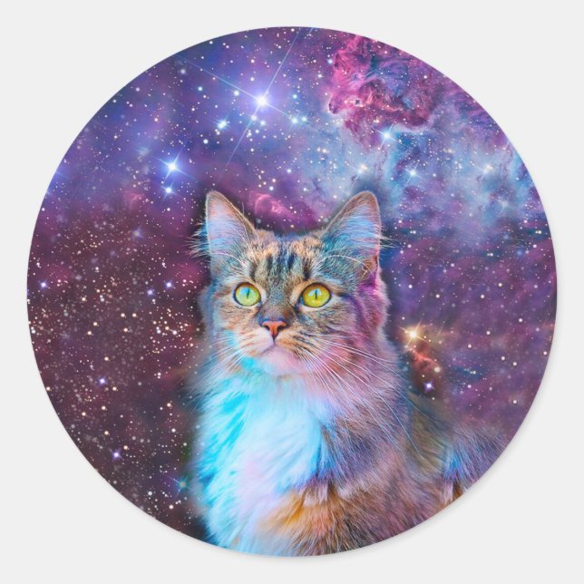 Purple cat in space classic round sticker (Front)