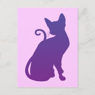 Purple Cat Postcard