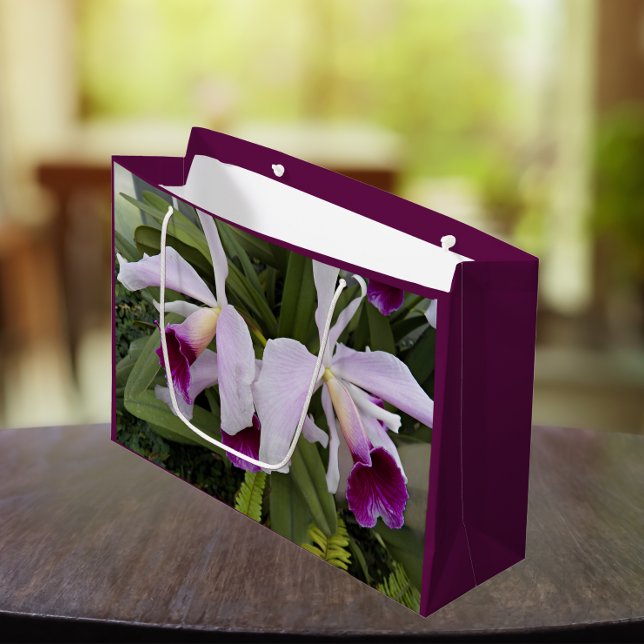 Purple Cattleya Orchids Floral Large Gift Bag (In Situ)